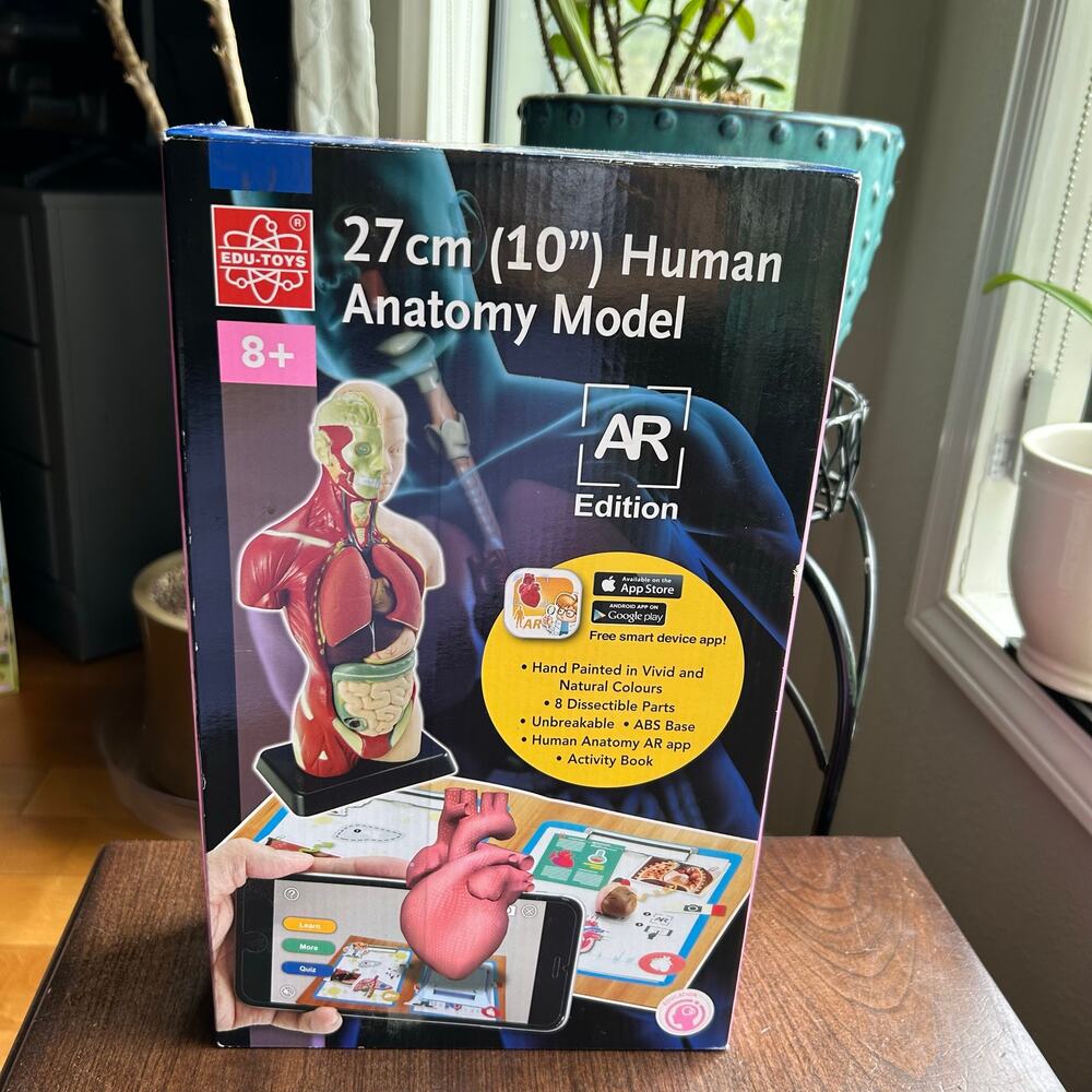 Elenco 10" Human Anatomy A.R. Bulding Model Kit